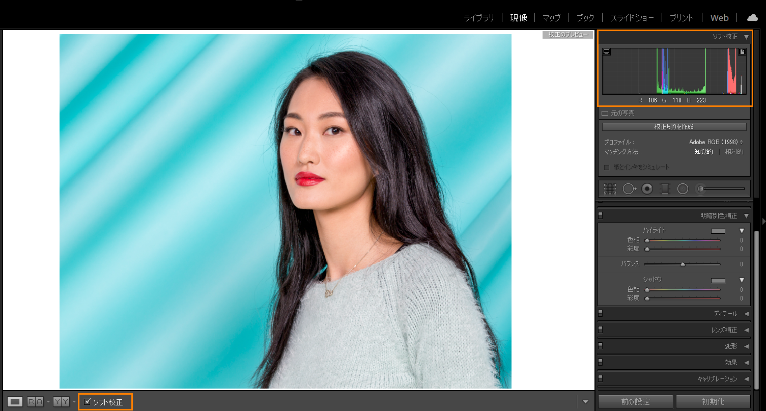 Lightroom Classic の現像モジュールでの編集