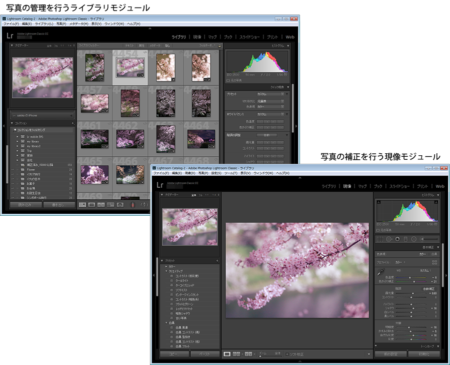 Photoshop Lightroom Photoshop Elements のちがい