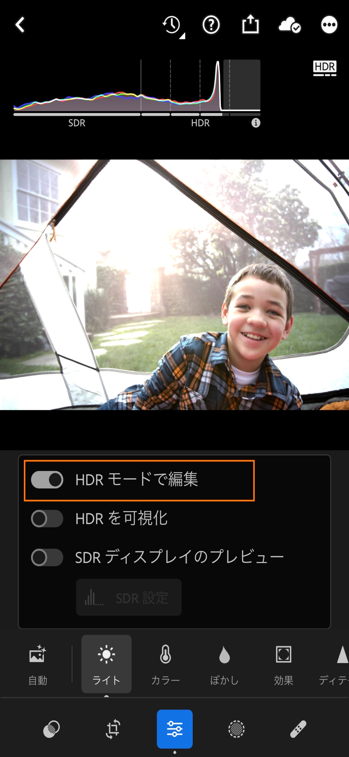 Lightroom モバイル版（iOS）で、カスタムプリセット、フィルターおよび部分補正によって写真を編集する方法について説明します。