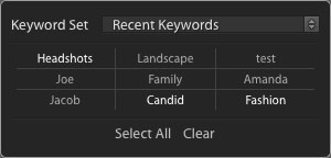 Lightroom Classic でキーワードを使用する方法
