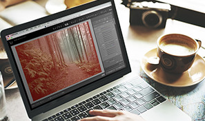 写真の一部分にスポットライトを当てる方法 Adobe Photoshop Lightroom チュートリアル