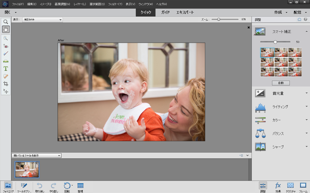 Elements のクイック、ガイド、エキスパートビュー