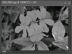 カラーモードを変更する方法 (Photoshop Elements 11)