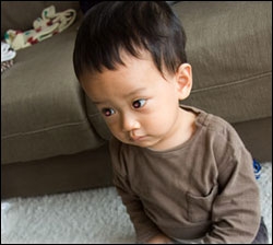 赤目を修正する方法 Photoshop Elements 11