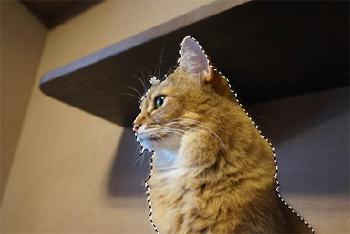 画像を合成する方法 Photoshop Elements 14