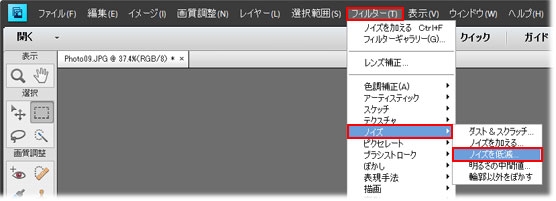 画像のノイズを減少させる方法 Photoshop Elements 11