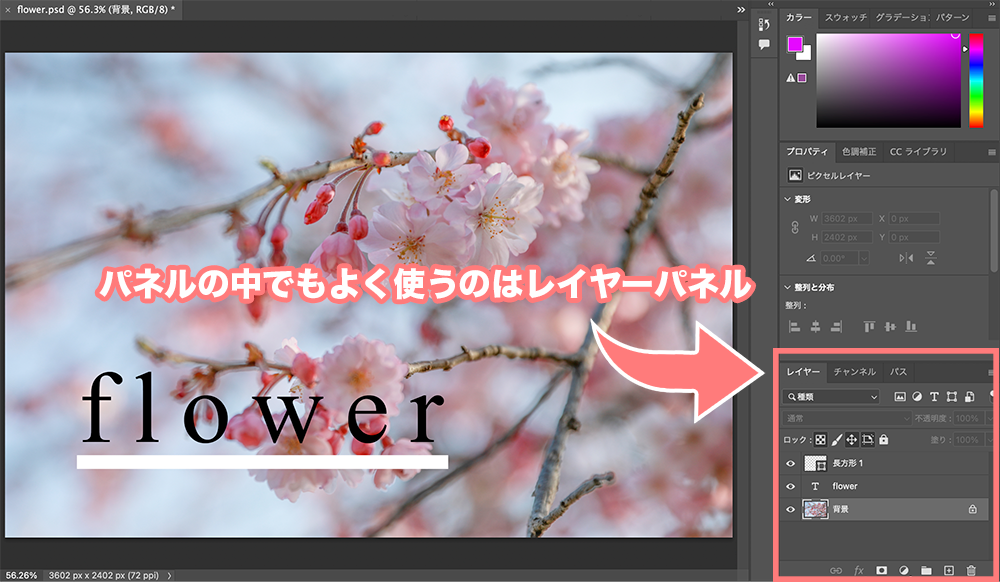 Photoshopの始め方 2 画面の見方と役割を覚えよう