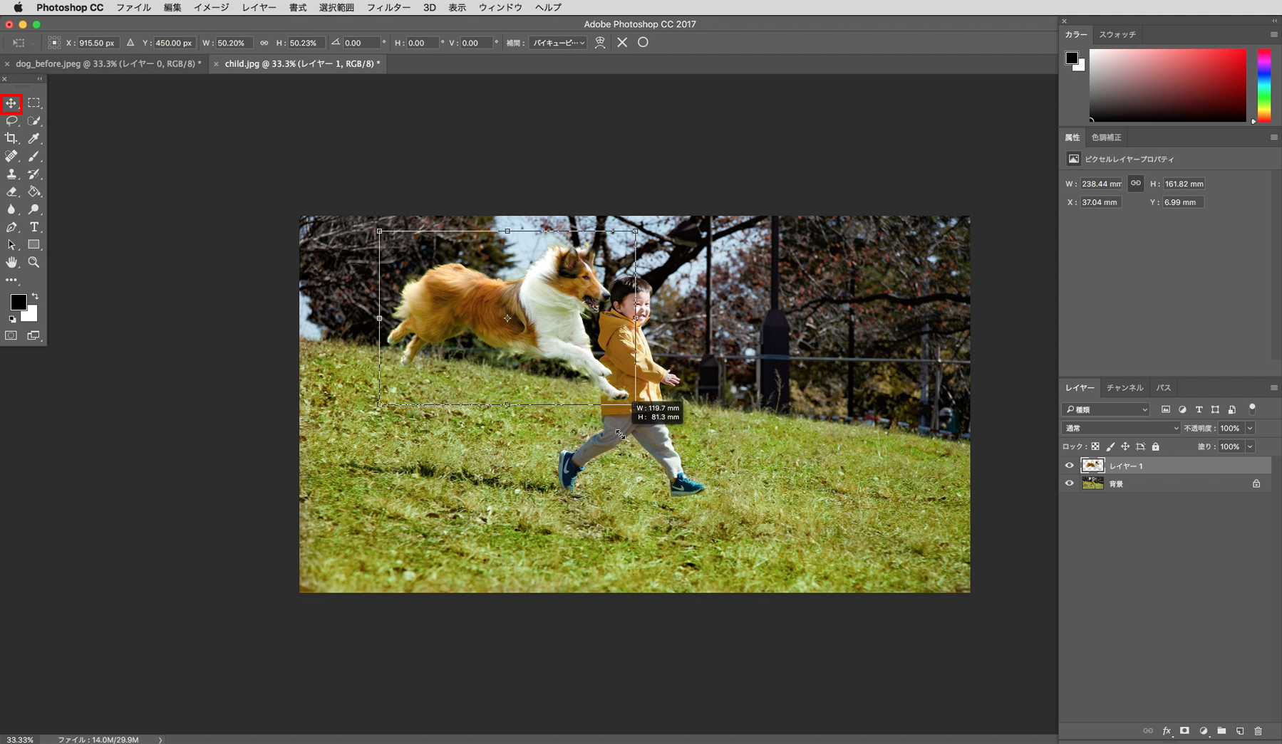 Adobe☆Photoshop  Elements 10☆フォトショップ画像編集