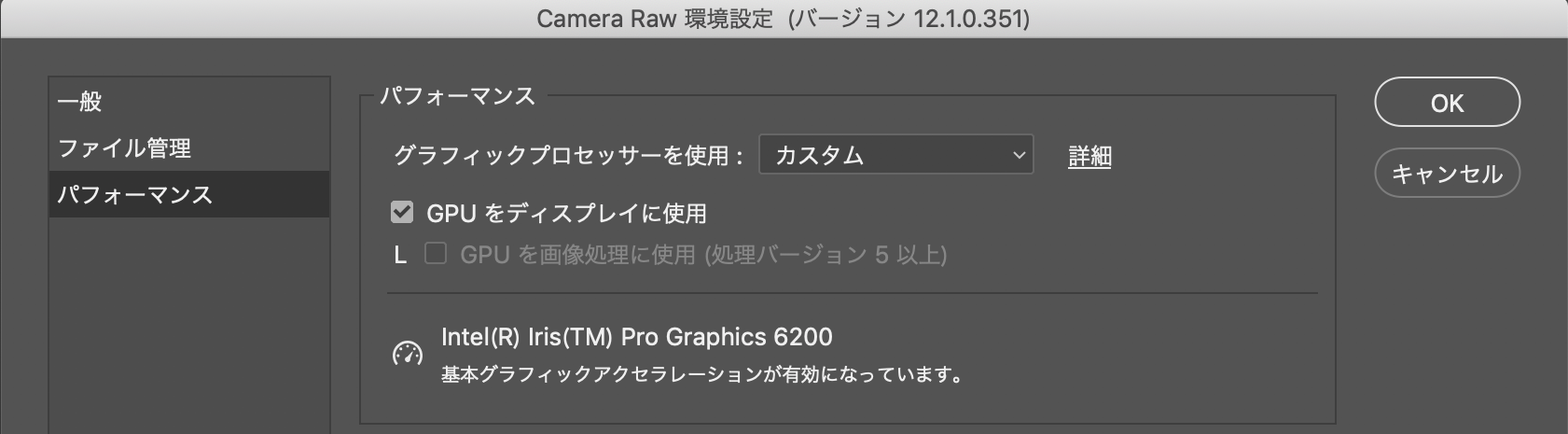 Adobe Camera Raw グラフィックプロセッサー Gpu に関する Faq とトラブルシューティング