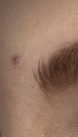 eyebrow-original 元の画像