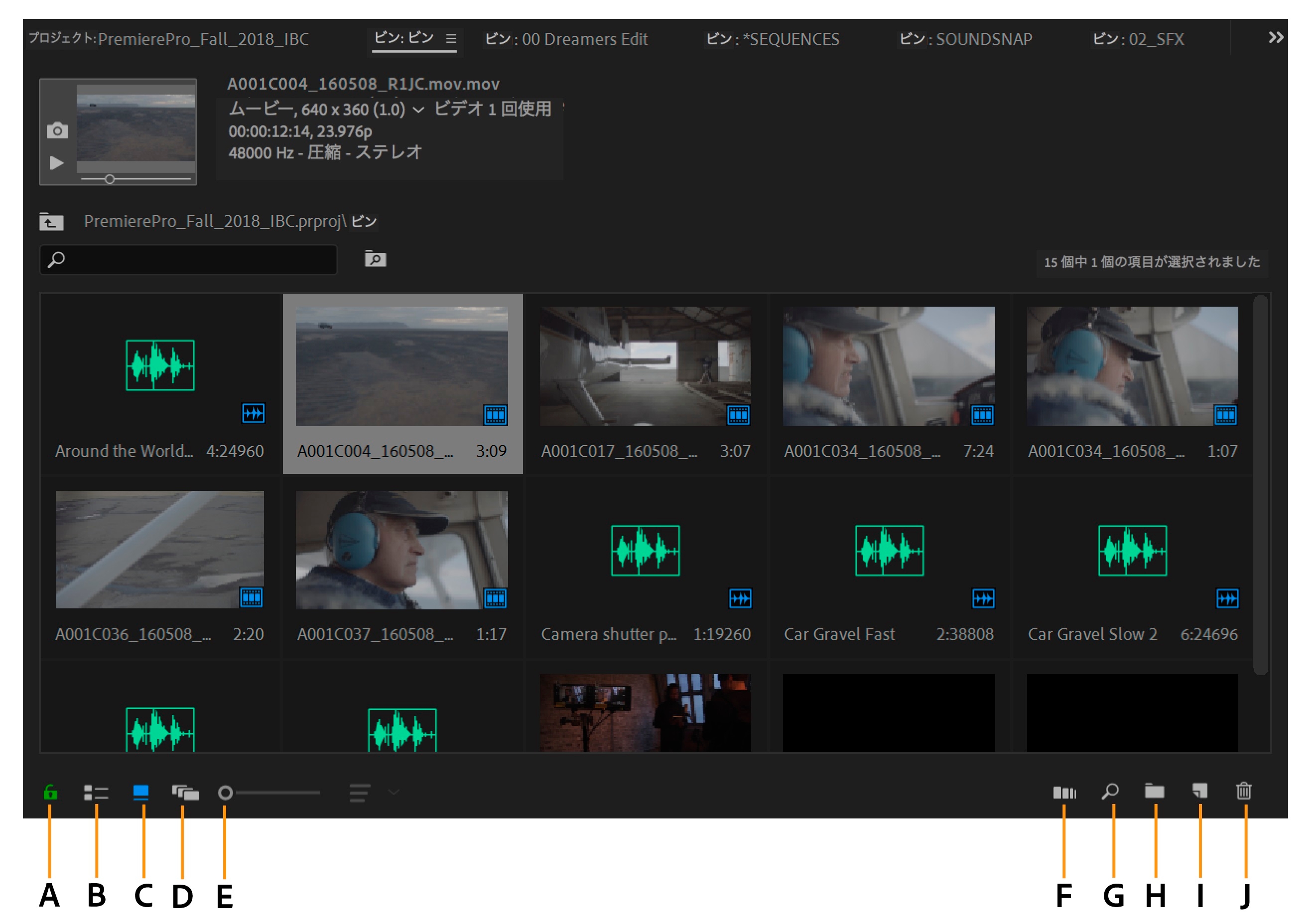 Premiere Pro のプロジェクトパネルでの作業