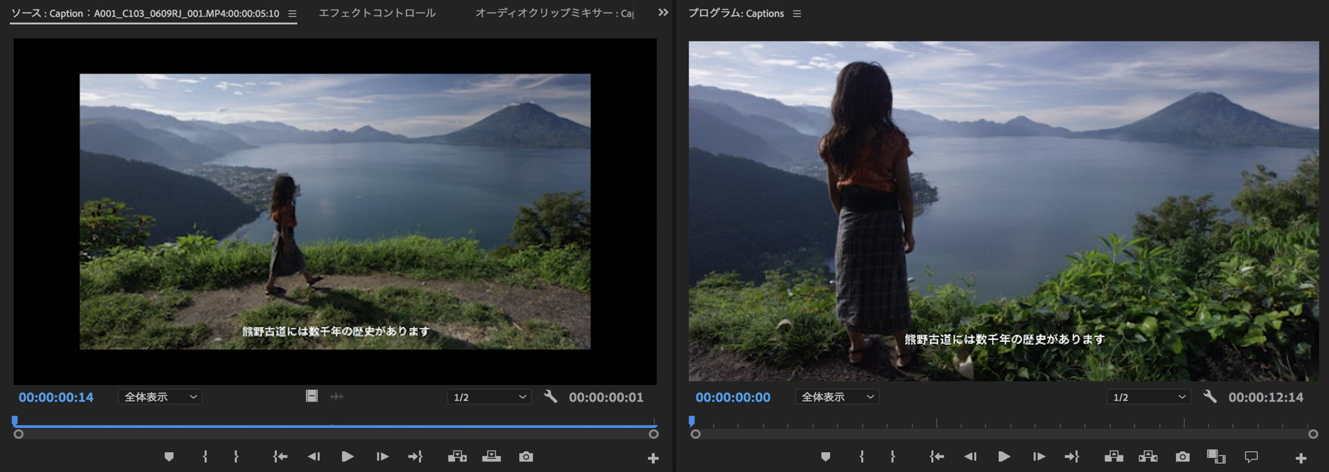 Premiere Pro でキャプションを操作する方法を説明します