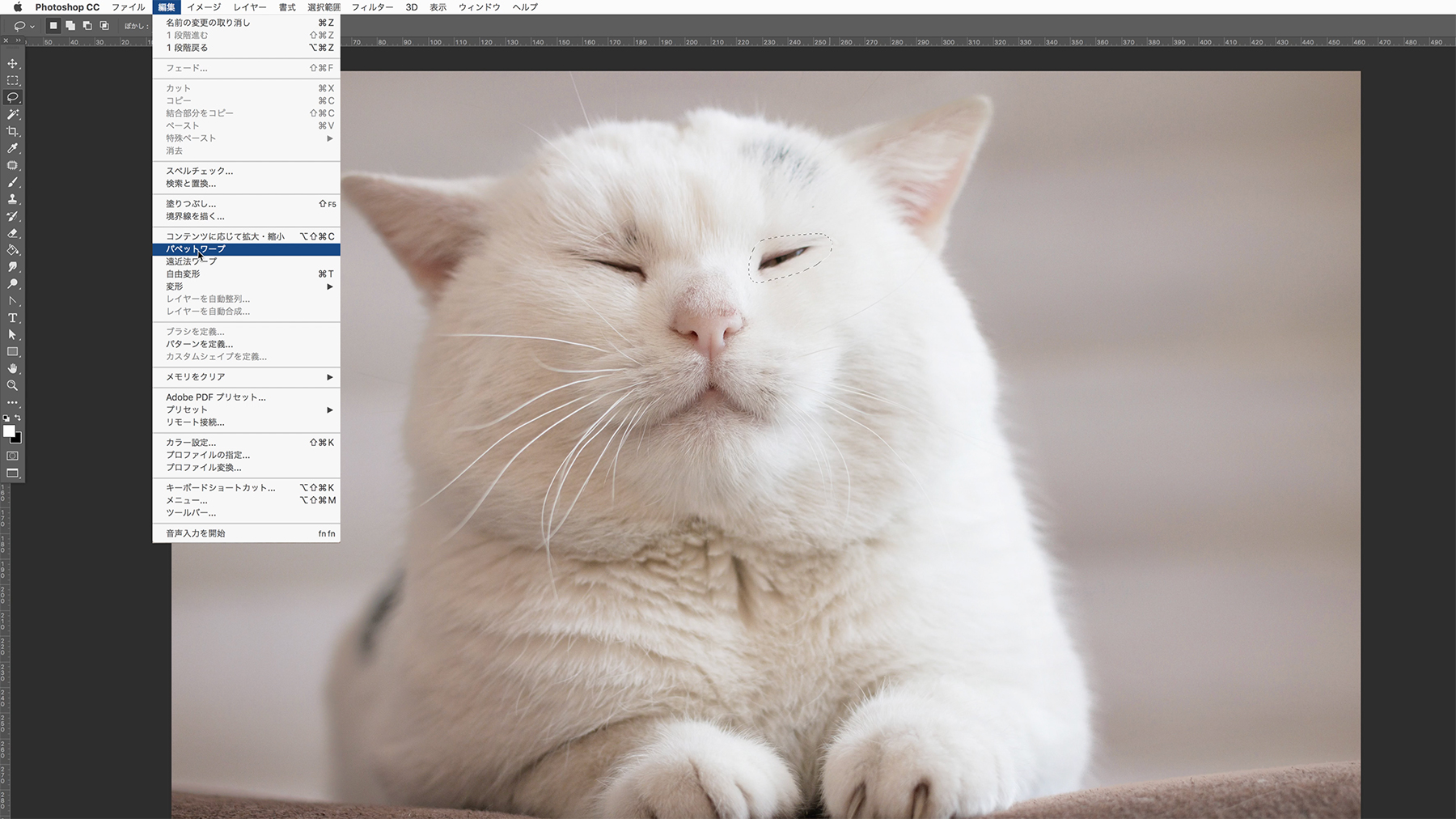 写真に写ったねこの表情を変化させる Adobe Photoshop Tutorials Adobe Photoshop チュートリアル