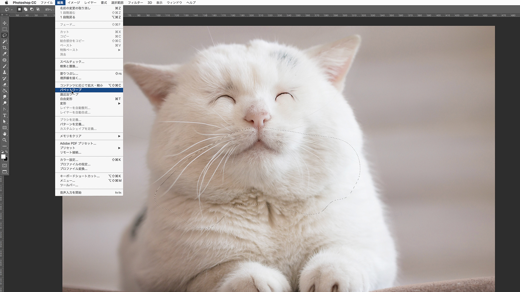 写真に写ったねこの表情を変化させる Adobe Photoshop Tutorials Adobe Photoshop チュートリアル