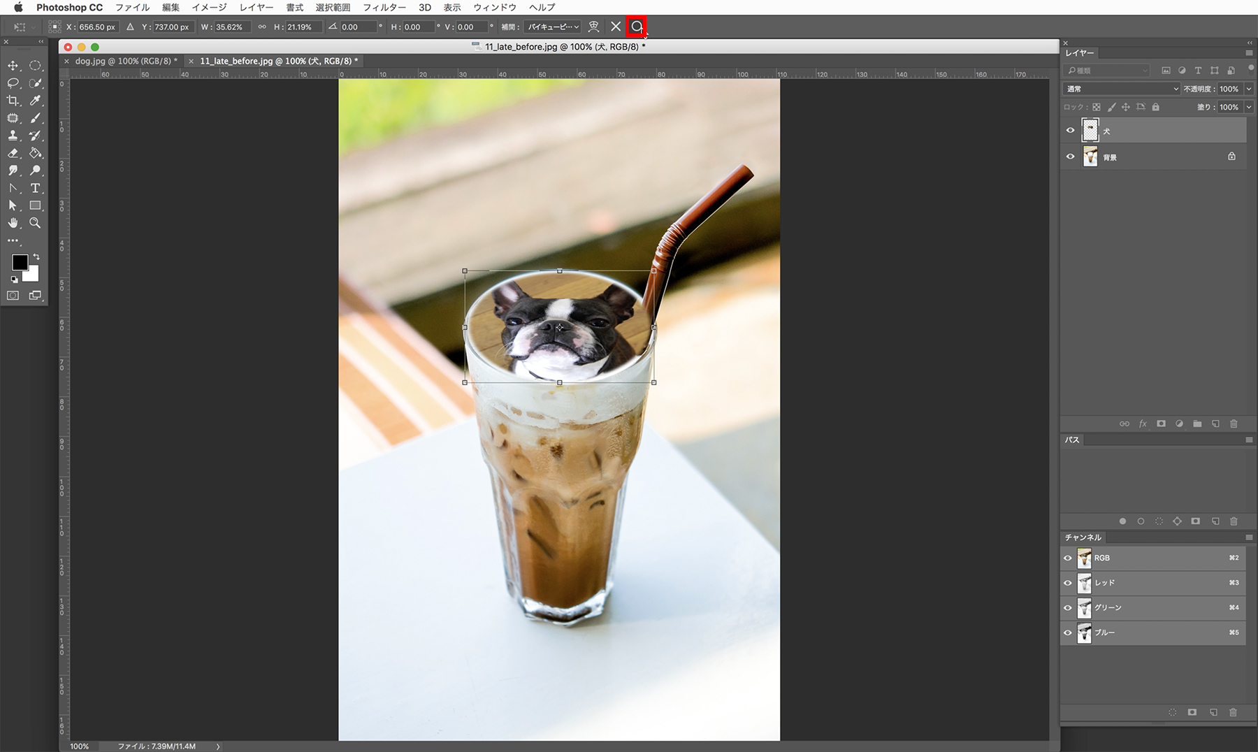 可愛いペットがラテアートに Adobe Photoshop Tutorials Adobe Photoshop チュートリアル