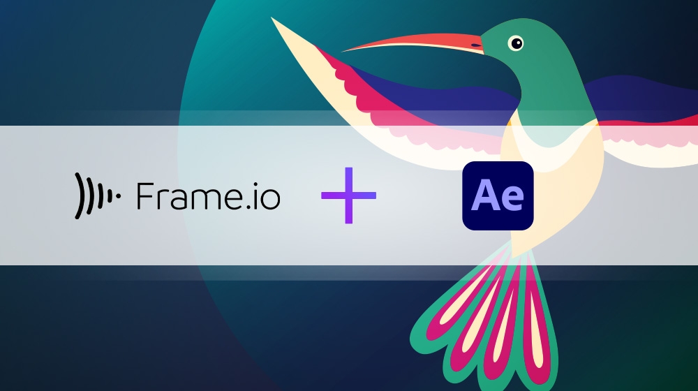 After Effects 내장 Frame.io