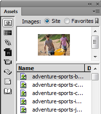Dreamweaver CC의 에셋 패널