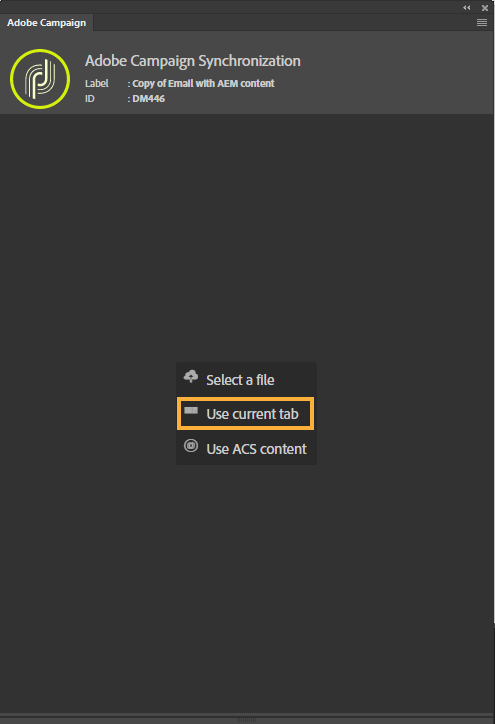 캠페인을 열기 전 Adobe Campaign 확장 패널