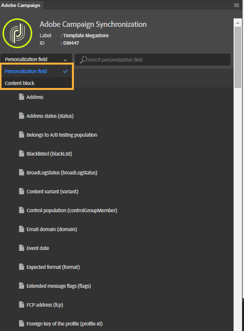 Adobe Campaign 확장 패널의 블록