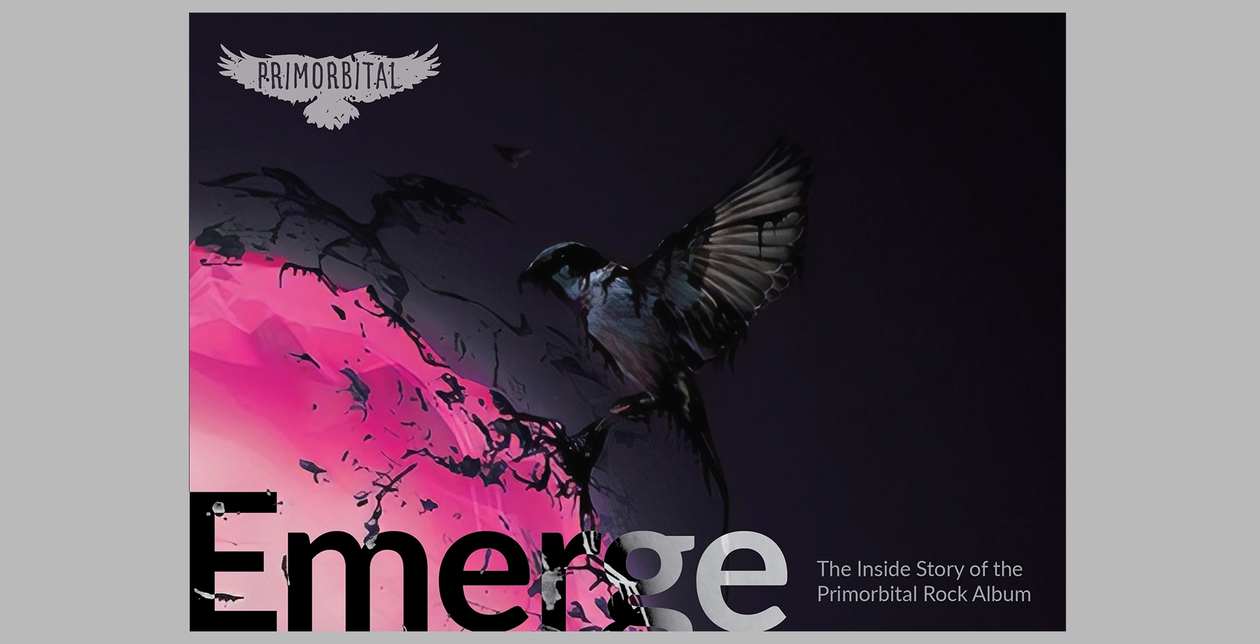 분홍-검정 배경의 새, 하이퍼링크가 있는 새, 제목이 포함된 표지