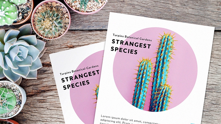 테이블에 놓인 Turpins Botanical Gardens의 홍보 자료 두 개 카피