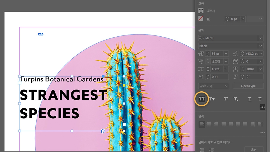 모두 대문자 버튼이 강조 표시되고, 텍스트가 대문자로 적용됨