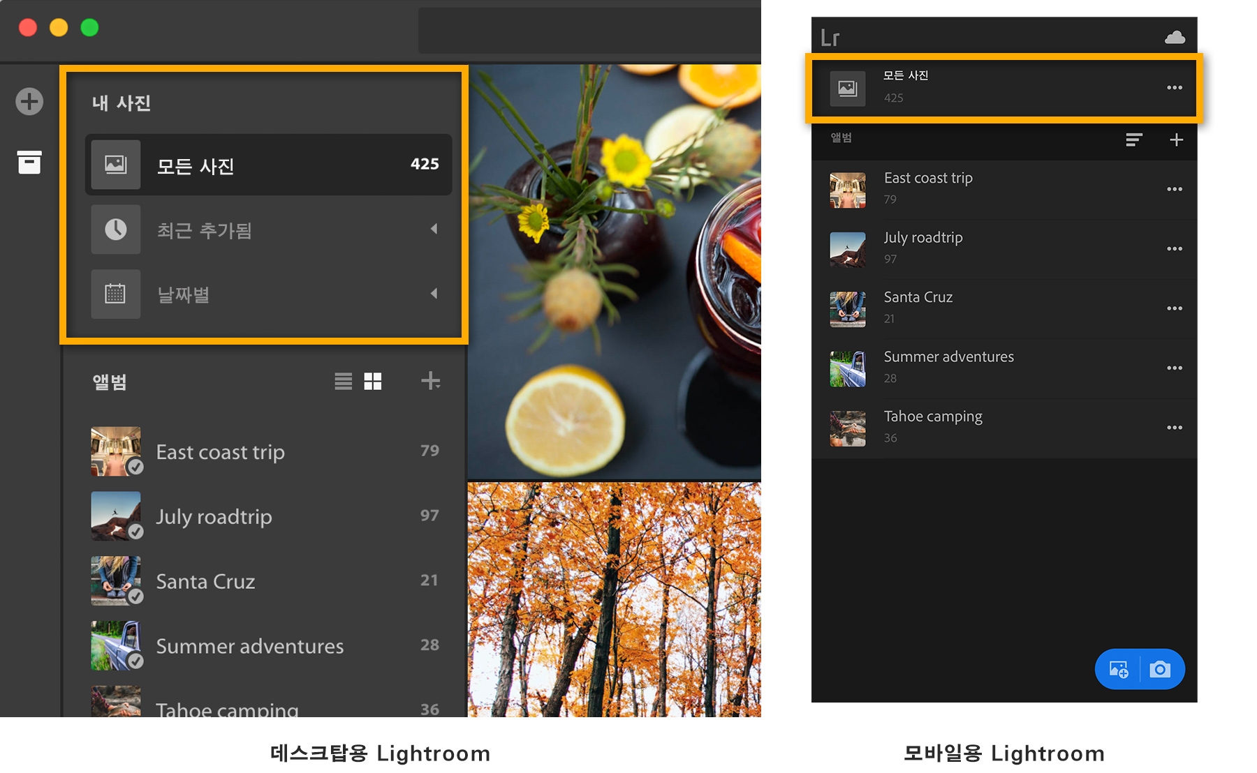 촬영 날짜별 정렬, 데스크탑-날짜별 클릭, 모바일-모든 사진 클릭