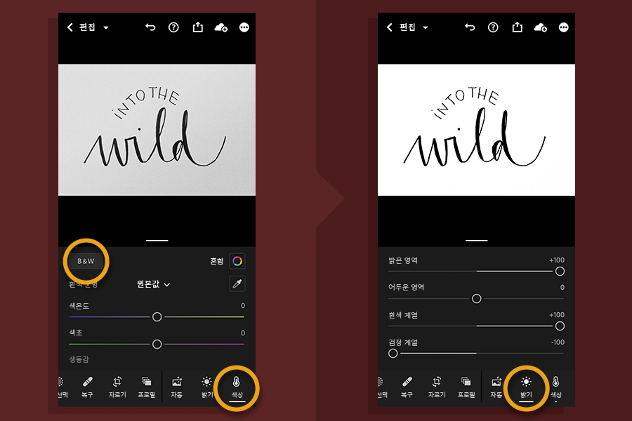 색상 탭의 B&W 옵션(좌)과 밝기 탭의 설정(우) 강조 표시