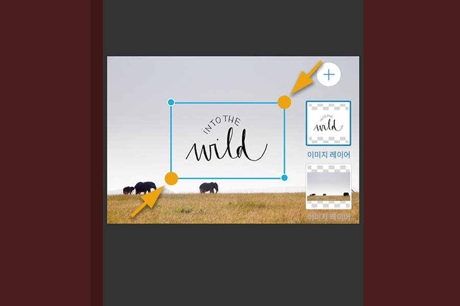 프레임의 모퉁이 핸들을 드래그하여 이미지 크기 조정