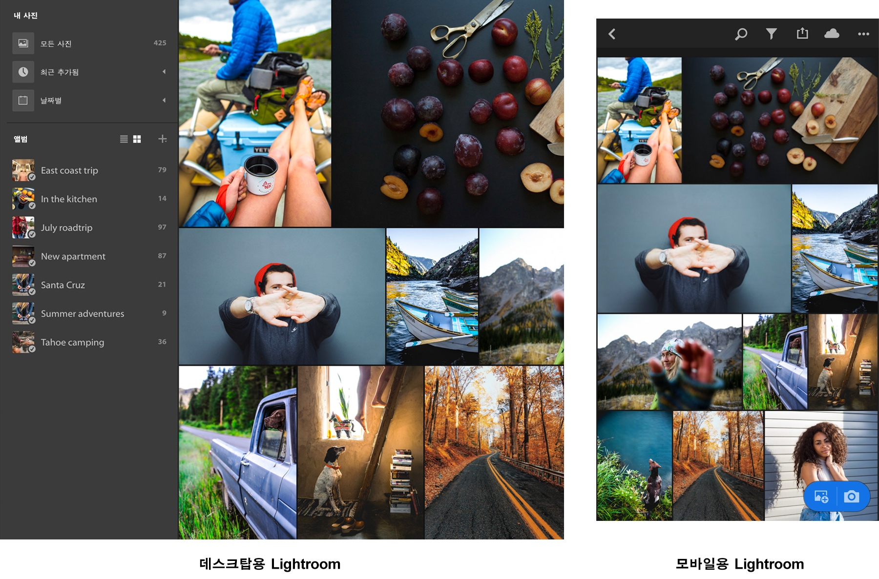 모든 디바이스에 자동으로 사진 동기화, 전체 해상도 버전 백업