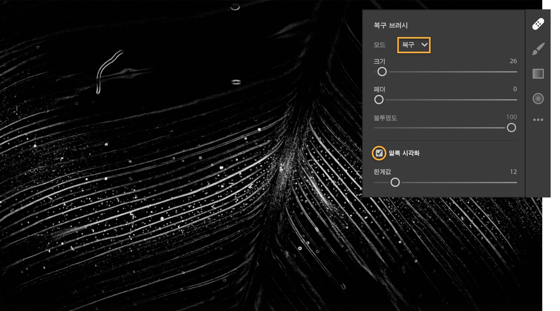 복구 브러시는 복구로 설정, 얼룩 시각화 체크 표시, 한계값 조정