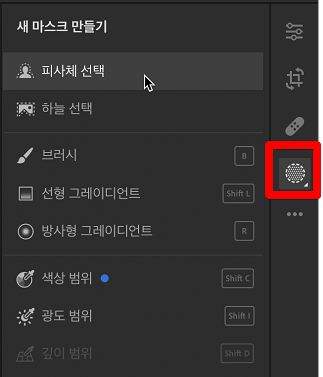 Lightroom에서 피사체 선택