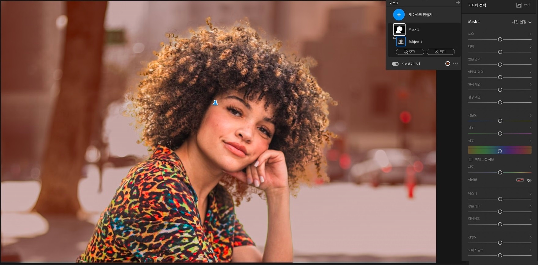 Lightroom 데스크탑에서 자동으로 선택되는 피사체