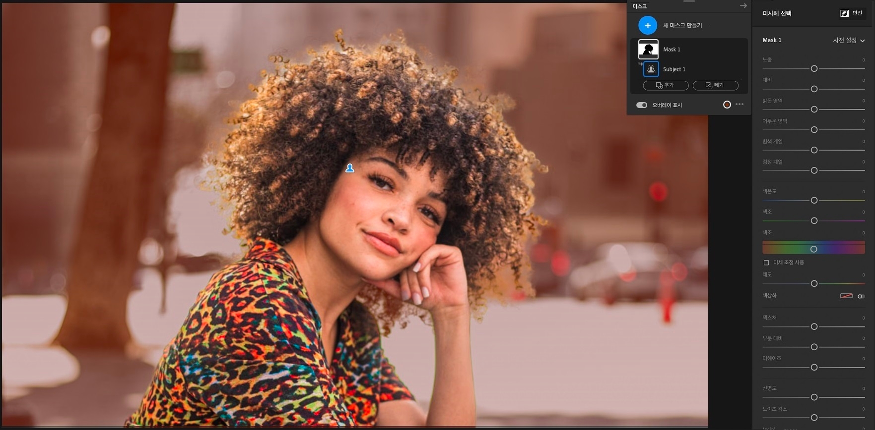 반전을 클릭하여 피사체를 제외한 모든 영역을 선택