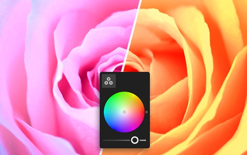 로컬 색조 조정