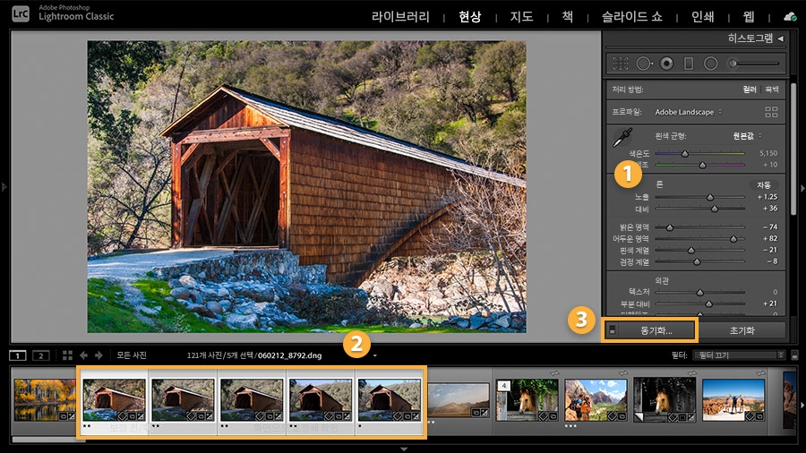 현상 설정을 동기화하기 위해 선택된 여러 사진과 동기화 버튼 