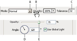 Photoshop 패널, 대화 상자 및 옵션 막대에 값 입력