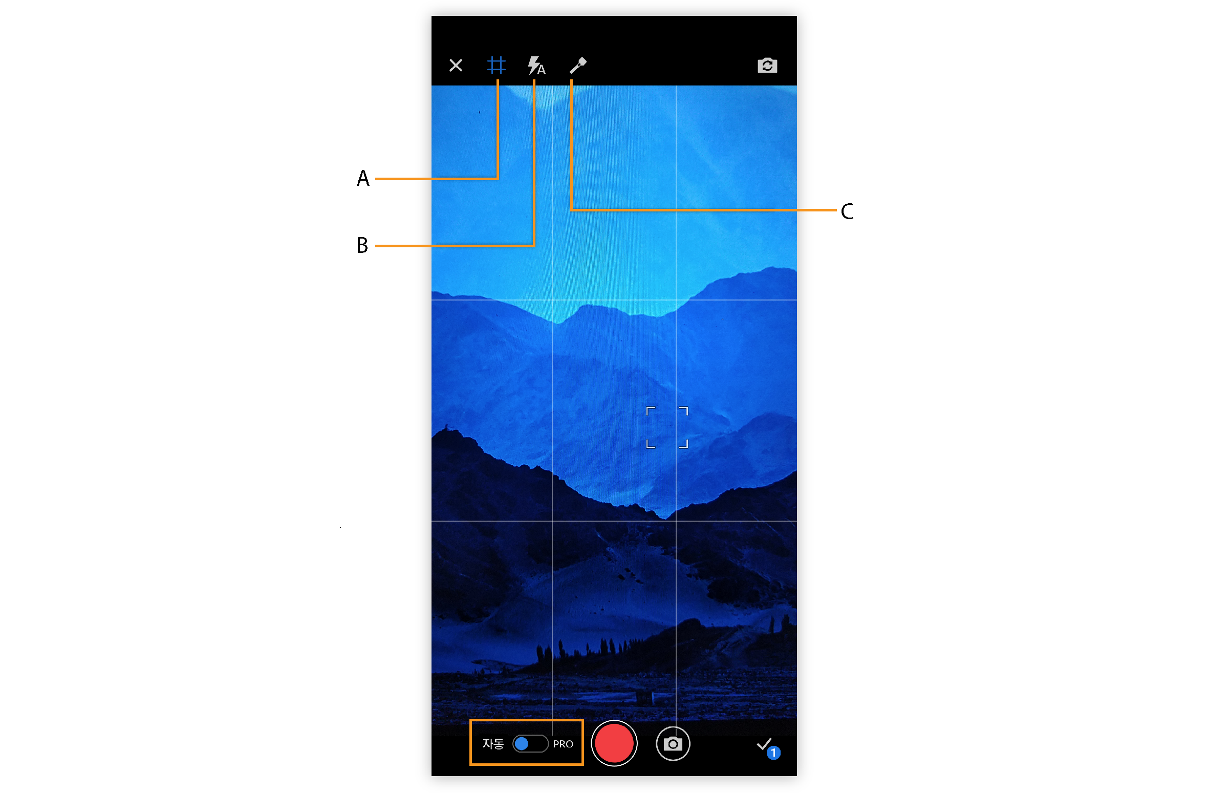 Premiere Rush의 자동 캡처 옵션