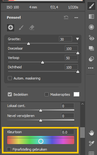 De nieuwe schuifregelaar Kleurtoon in deelvensters voor lokale aanpassingen