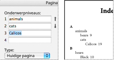 Het vak Onderwerpniveaus Indexitems