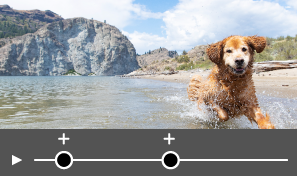 navigatiepunt in deelvenster Media