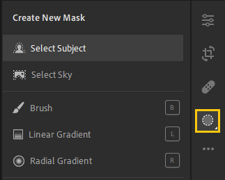Onderwerp selecteren in Lightroom
