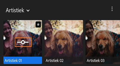 Schuifregelaar Hoeveelheid voor profielen in Lightroom voor Android