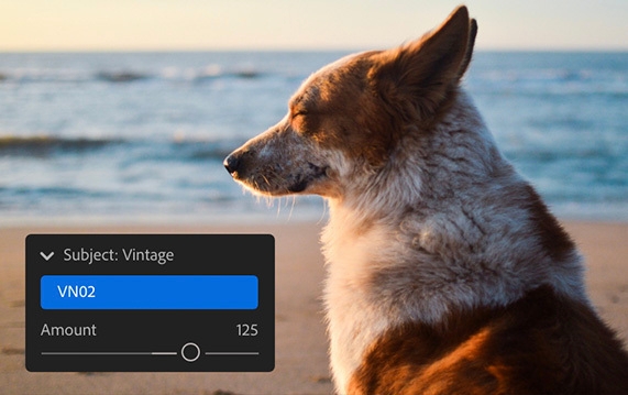 Schuifregelaar Hoeveelheid voorinstellingen in Lightroom