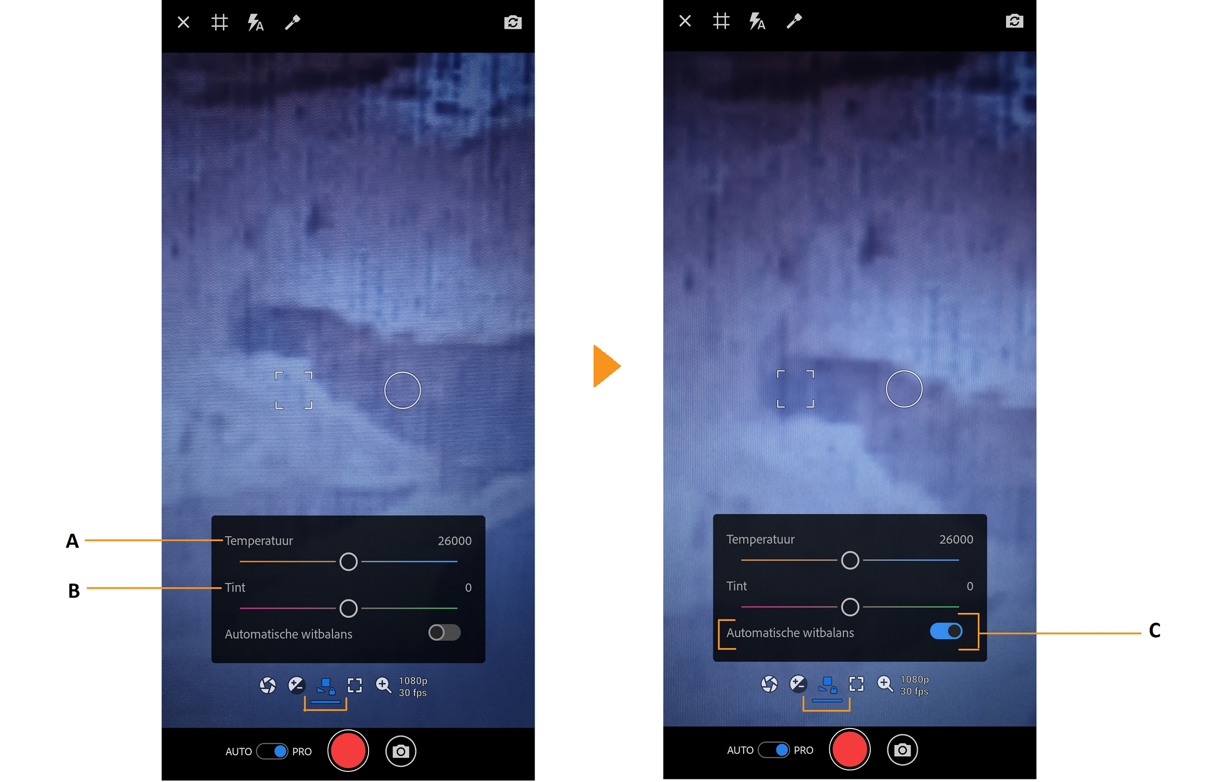 PRO-witbalansopties in Premiere Rush