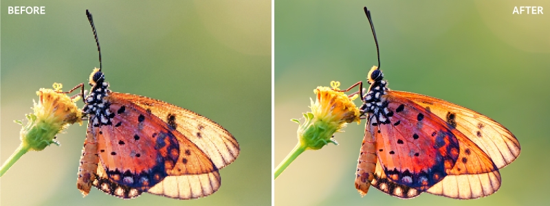 Bruk Superoppløsning i Camera Raw