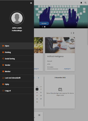 Oppslukende mobil nettopplevelse