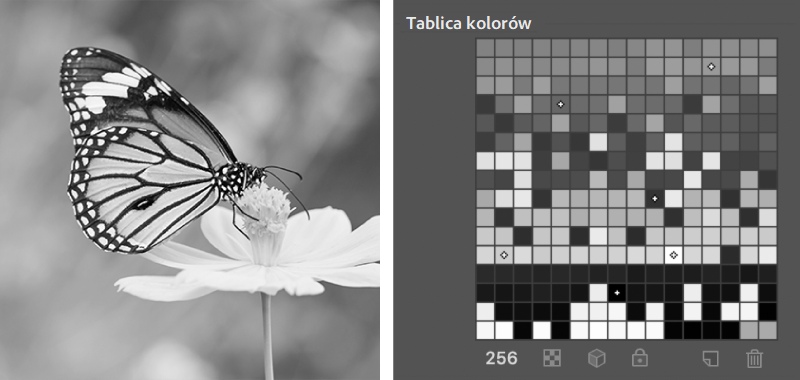 Gray Scale Bit Pattern Głębia bitowa i preferencje