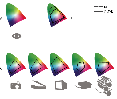 Gamas de cores de vários dispositivos e documentos Gamas de cores de vários dispositivos e documentos