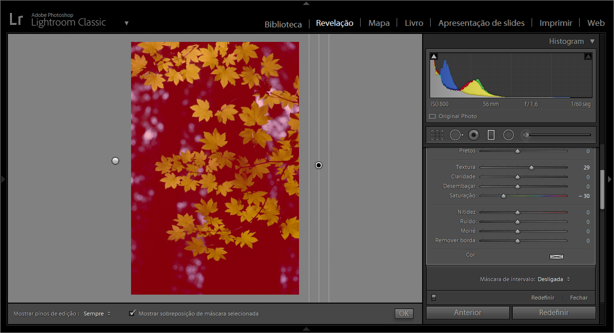 Como Aplicar Ajustes Locais A Fotos Com Base Nas Informacoes De Cor Luminosidade E Profundidade